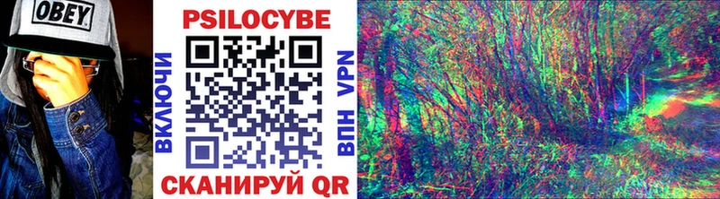 Галлюциногенные грибы Psilocybe  цена   Новосиль 